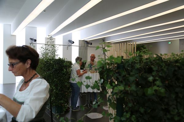 Fotos zum Tag des Denkmals in der Landesbibliothek