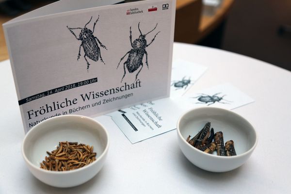 Ausstellungeröffnung "Fröhliche Wissenschaft" 