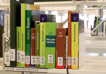 Bücher im Bücherregal